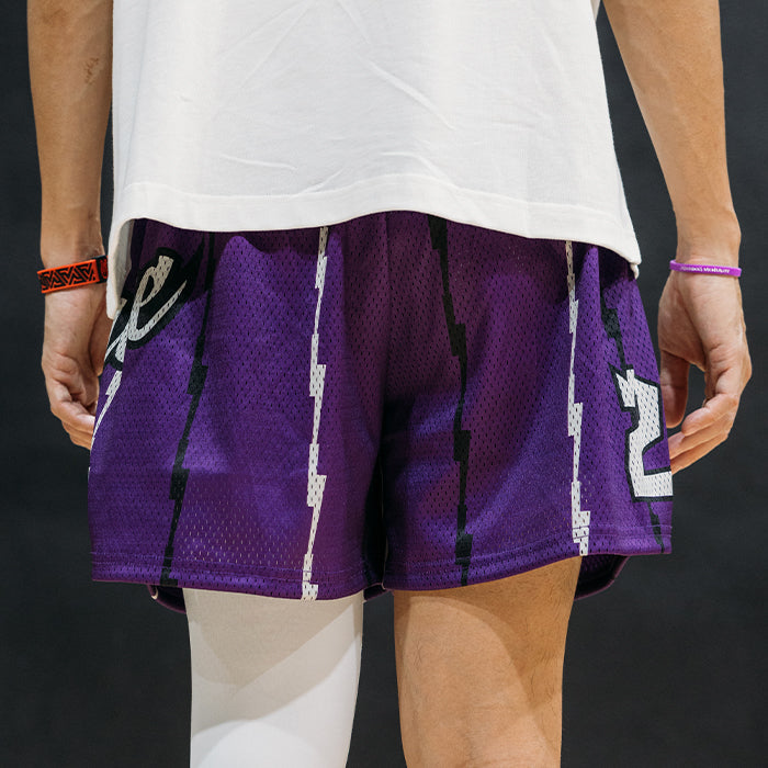 Deuce brand raptors mesh basketball shorts purple