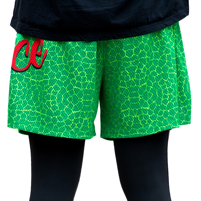 Deuce Brand Basketball Mesh Basketball shorts 