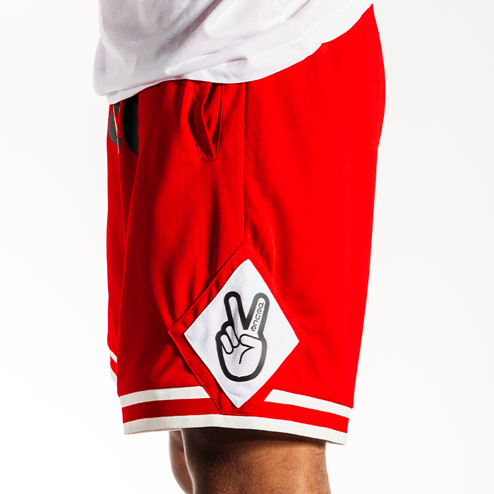 Deuce Brand vibe basketball shorts chicago color way